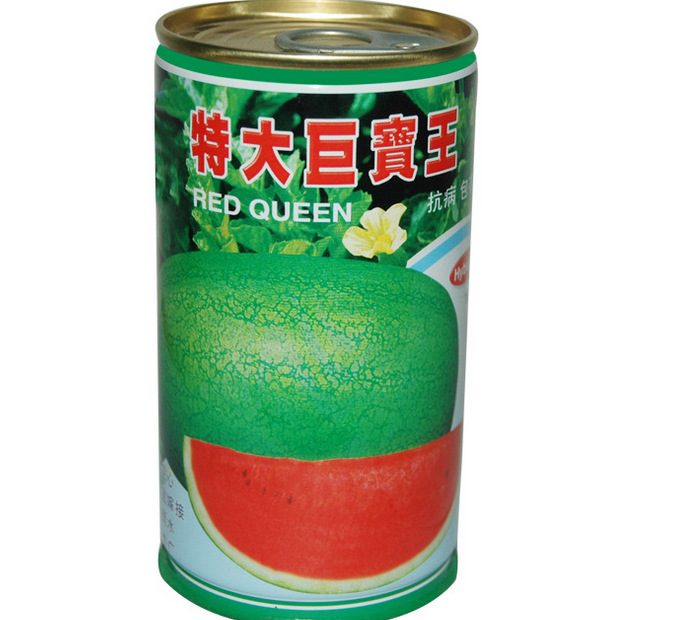 种子罐 圆形花种罐 易拉马口铁罐 制罐厂定制印刷金属罐 农产品南瓜种子罐