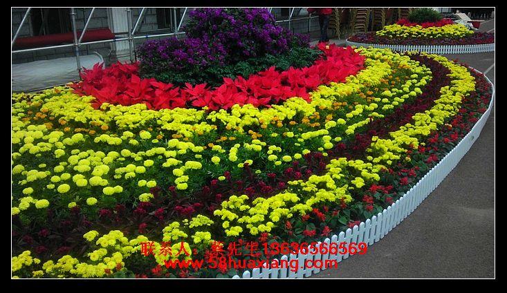 供应上海花卉批发上海花卉专卖花卉公司