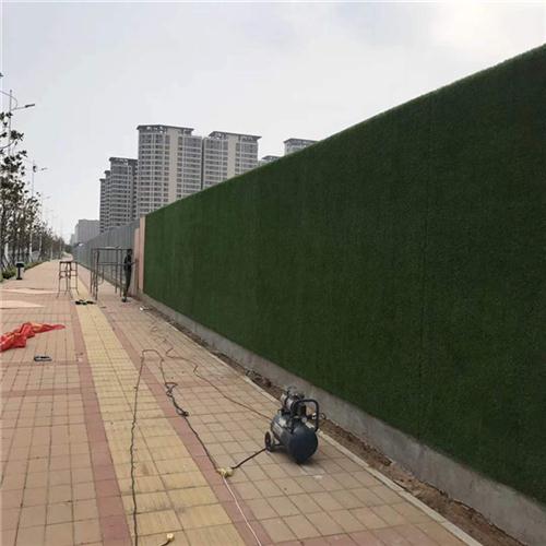 郑州工地围墙草坪