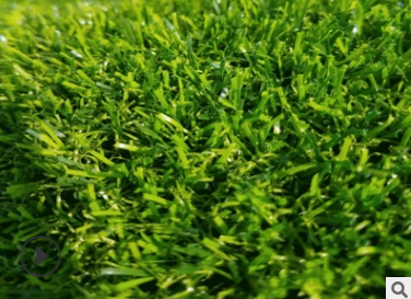 绿色地毯草坪 湖