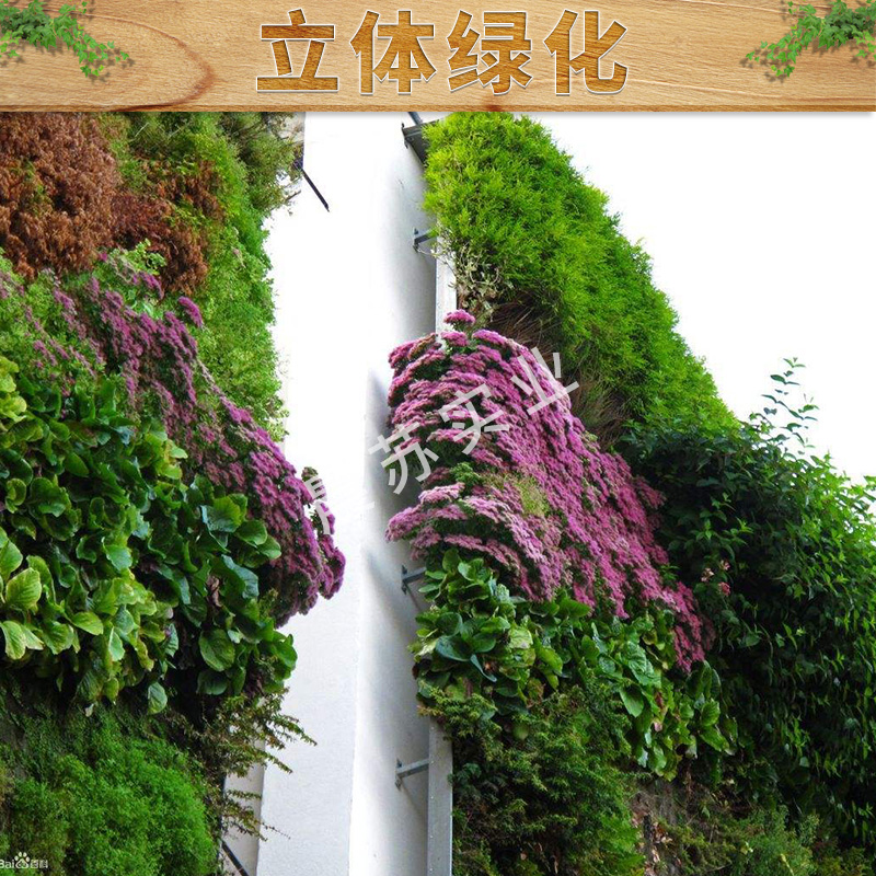 上海立体绿化造型