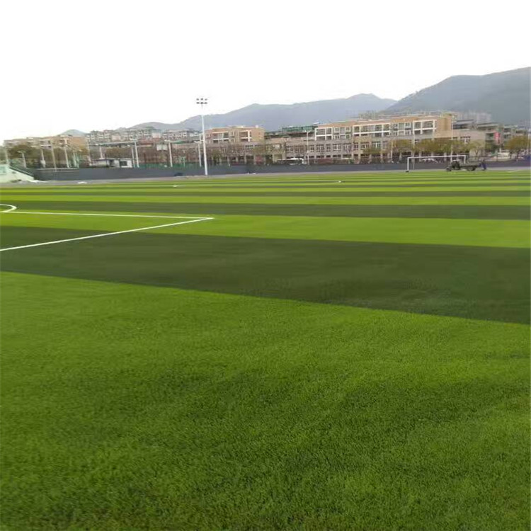 广州足球场人造草