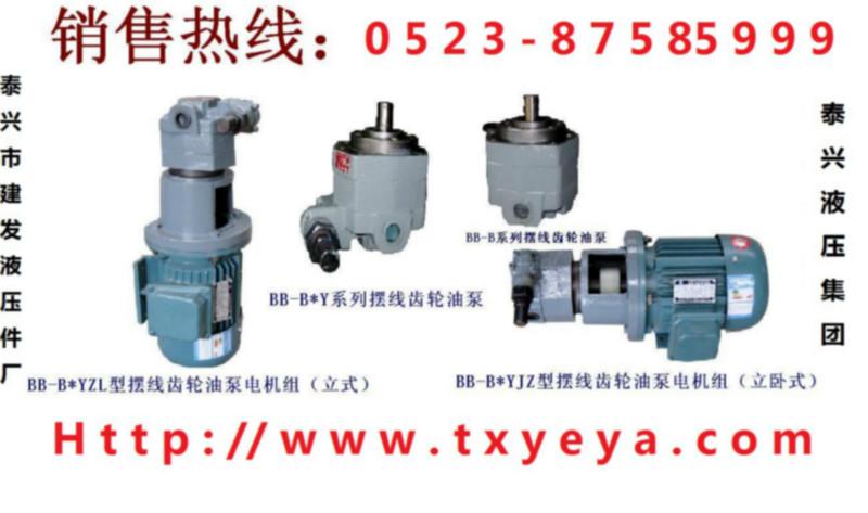 江苏泰州供应液压齿轮油泵扒胎机定制泵TXCB-B10TXCB-B25