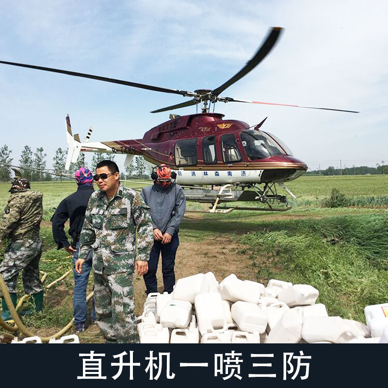 山东济南供应直升机一喷三防 直升机农林喷洒冬小麦主产区 防害预防服务