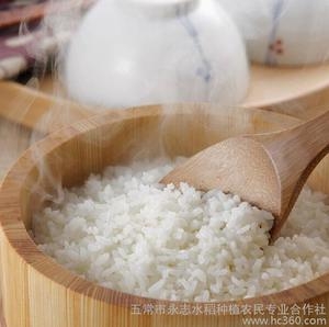 永志水稻种植