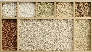 供应 东北水稻种植 水稻种植加工3