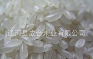 东北长粒香米 批发零售 常年 2.4元/斤