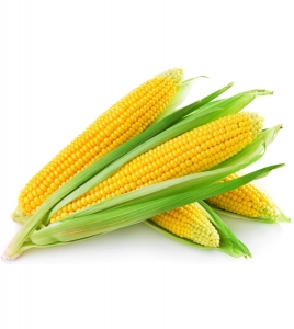 玉米3
