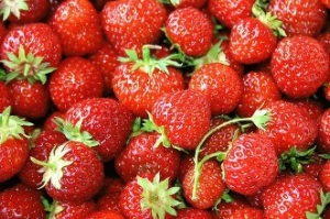 众禾草莓4