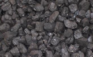 伟达煤炭有限责任