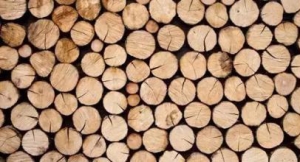 盛世木业有限公司