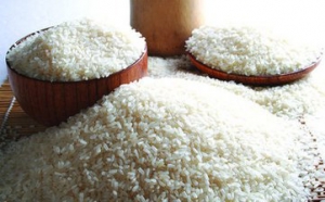 宝鑫水稻种植专业
