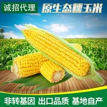 黑龙江哈尔滨速冻黄玉米