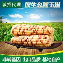 黑龙江哈尔滨速冻玉米