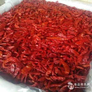 河北邯郸鸡泽辣椒生产厂家