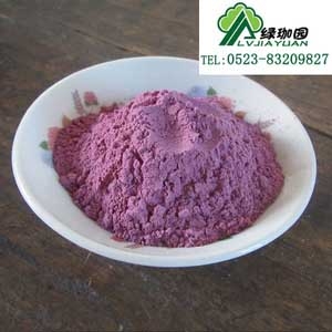 江苏兴化紫薯粉