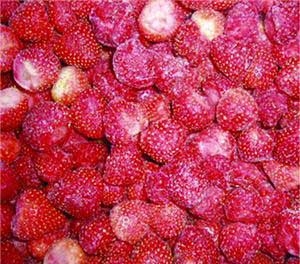 速东草莓