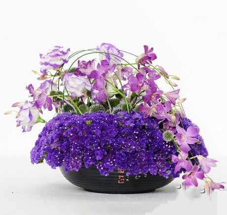 紫色流动感桌花商务鲜切花
