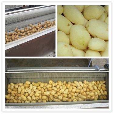 HC系列根薯类（土豆）去皮清洗机