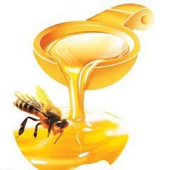 珠山养蜂专业合作社