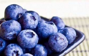益民蓝莓种植