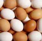 出售优质鸡蛋