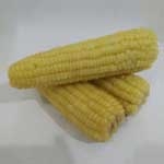 现货供应优质白玉米