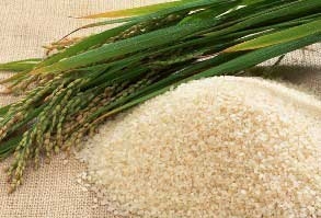 稻米香粮业