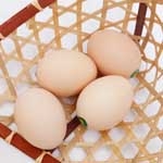 营养鸡蛋粉鸡蛋健康鸡蛋礼盒装