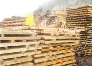 华林木材加工厂