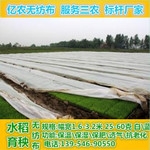 厂家生产供应水稻