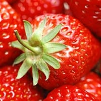 黑龙江齐齐哈尔草莓