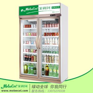 广东广州冰柜品牌哪个好？LG-1100J香槟色双门经济型冷藏展示柜便利店冷柜价格厂家直销