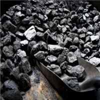 鑫燃煤炭；