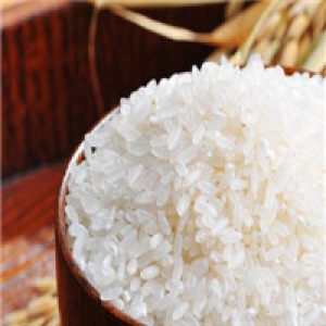富裕稻之道水稻4