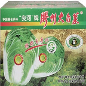 盛河蔬菜7