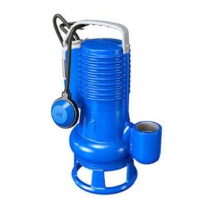 DGBLUEP100别墅地下室污水提升泵雨水泵化粪池提升泵