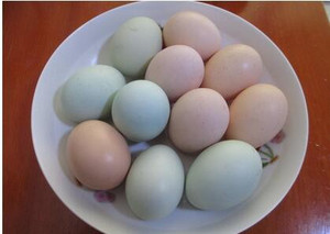 又大又白又美容好吃的鹅蛋鸡蛋鸭蛋销售