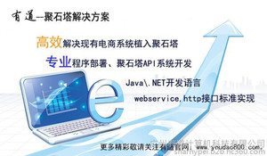 供应聚石塔解决方案API系统开发Java/.Net技术方案，广州有道软件开发