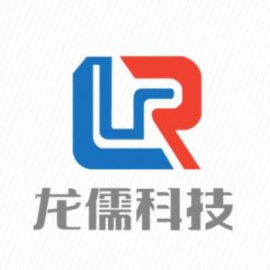 黑龙江龙儒科技  logo设计