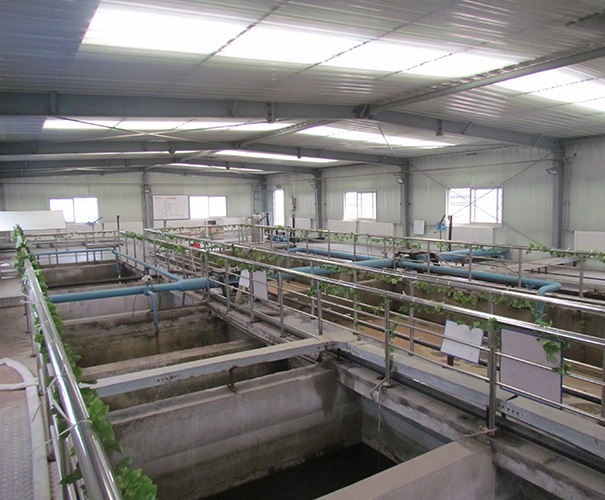 广州化工废水处理设备|科理环保|广州化工污水处理设备厂家