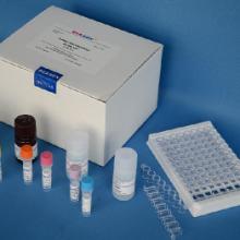 供应（蜂蜜）链霉素检测试剂盒