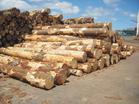 供应欧美实木板进口代理实木地板进口代理德国木地板进口清关代理