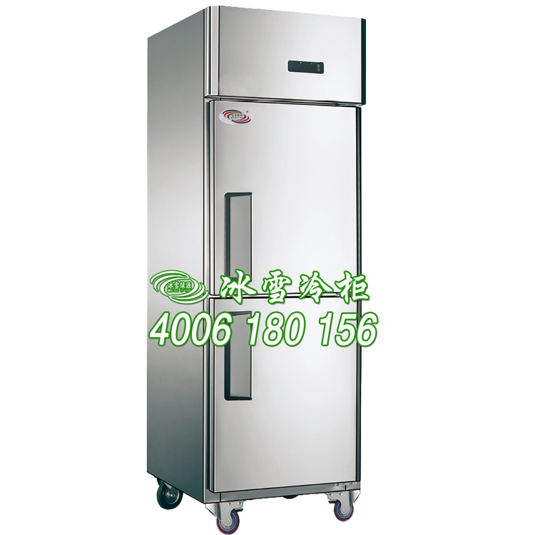 供应酒店冰箱，立式两门冷冻柜，食堂厨房不锈钢保鲜冷柜
