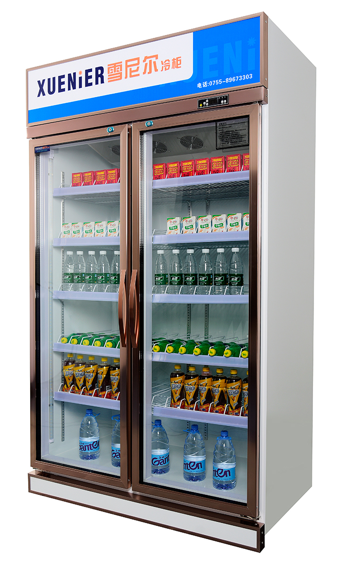 雪尼尔冷柜便利店冰箱2门饮料啤酒冷藏展示柜LG-1.2FA