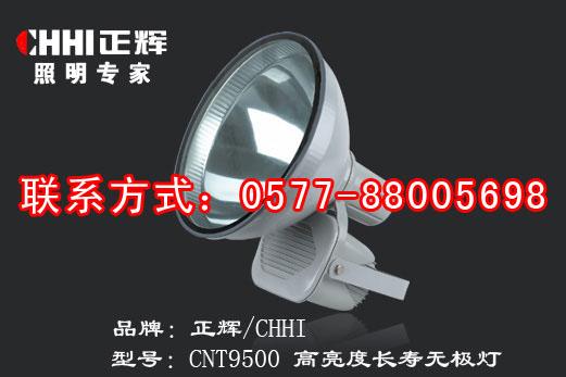 供应CNT9500高亮度长寿无极灯,长寿无极灯,高亮度无极投光灯