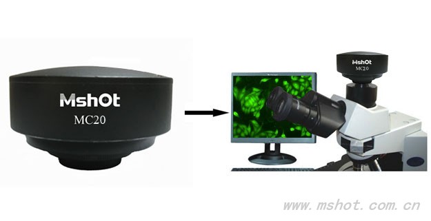 供应武汉显微镜数码摄像头MC20