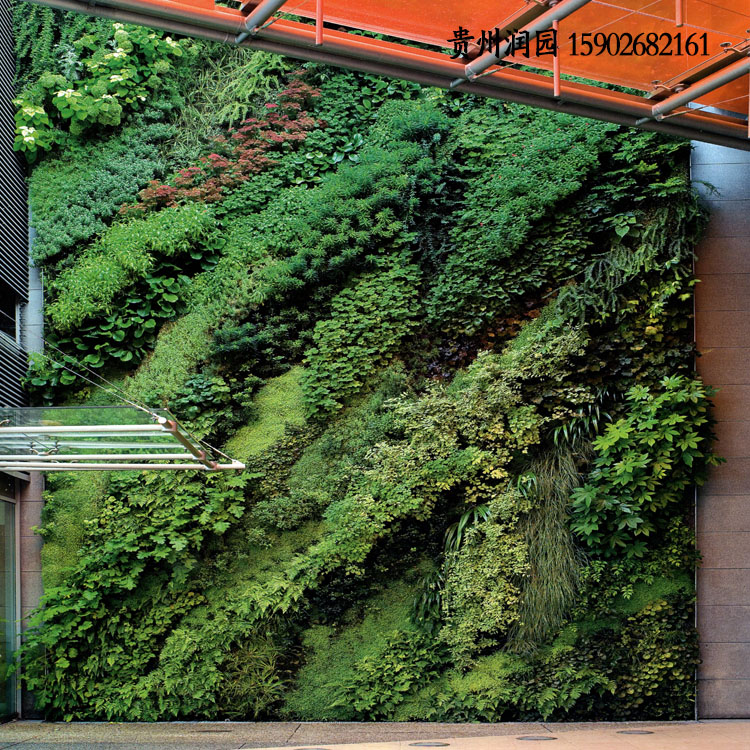 贵州遵义生态绿化装饰和仿真绿化装饰公司专营仿真绿墙设计
