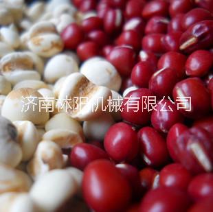 红豆薏米粉生产线
