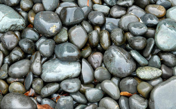 淋浴房鹅卵石,新昊远园林景观(在线咨询),盐城鹅卵石